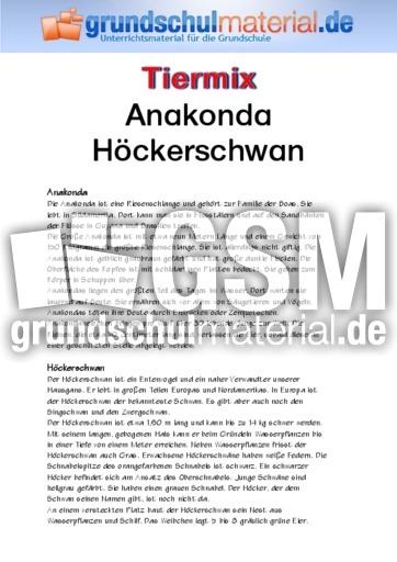 Anakonda - Höckerschwan.pdf